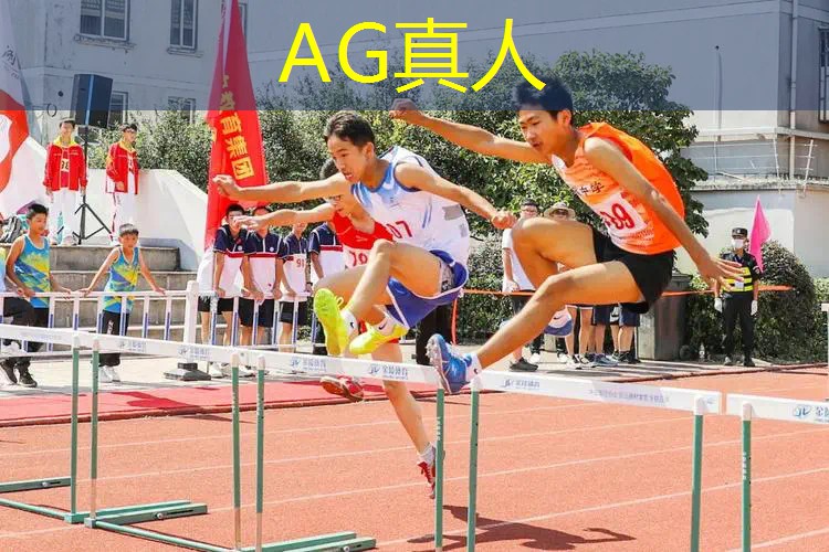 打醉拳的3d游戏叫什么