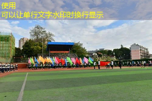 爱宠小程序推荐游戏有哪些