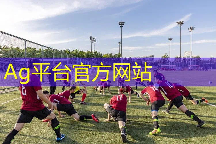 捉猫猫游戏程序设计教程