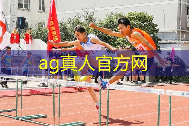 能单机的3d游戏有哪些