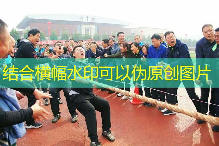 吊杆竞技场3D游戏中文版