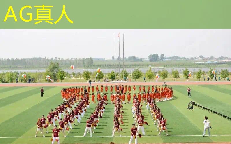 小程序游戏捡屎怎么玩的