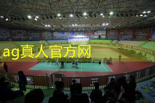 游戏原画什么样的好用