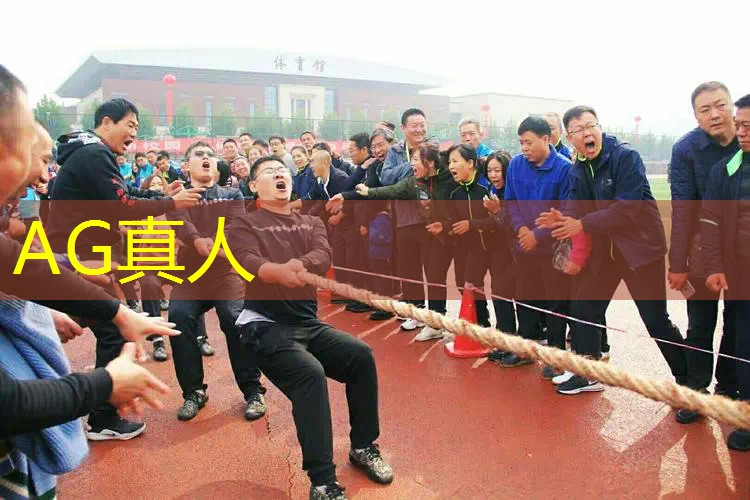 做3d游戏程序需要了解
