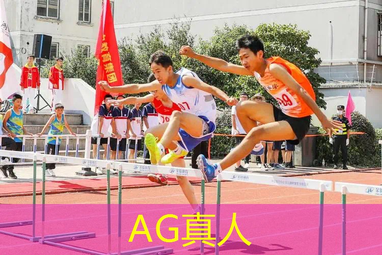 3d动物成长游戏推荐手游