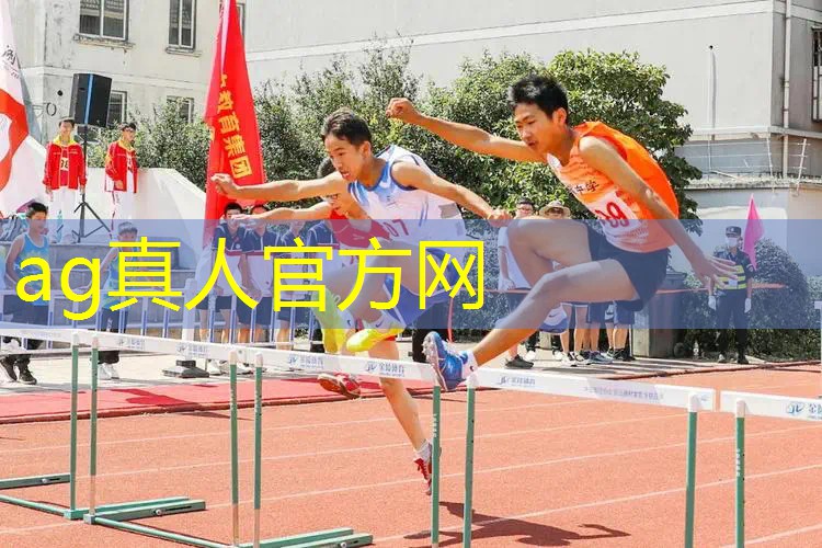 游戏原画风格测试软件哪个好