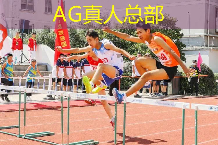 3d游戏斗兽