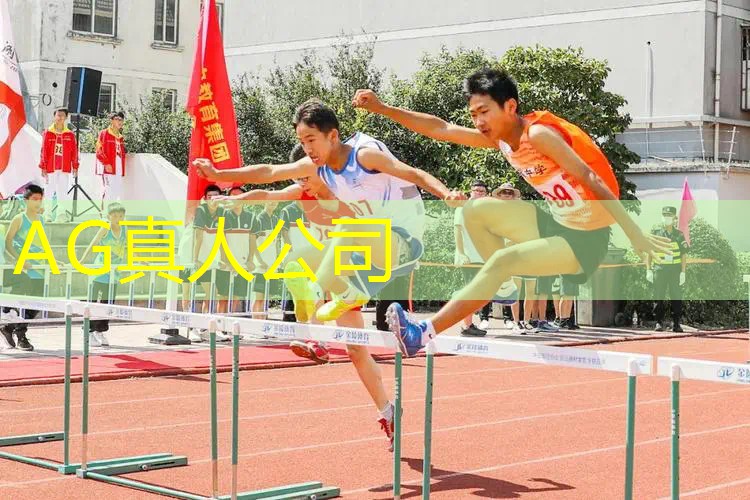 臻彩游戏内原画怎么设置