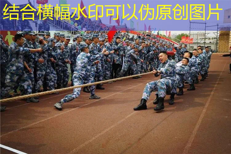 3d版的英语游戏叫什么
