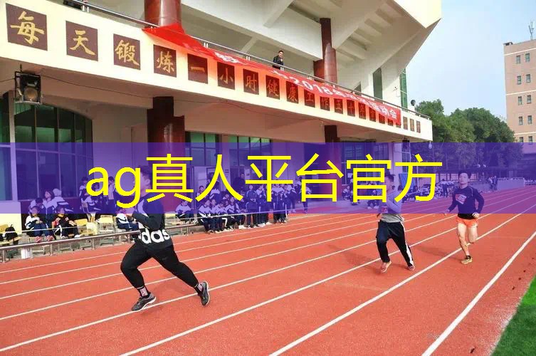 养各种宠物的3d游戏有哪些