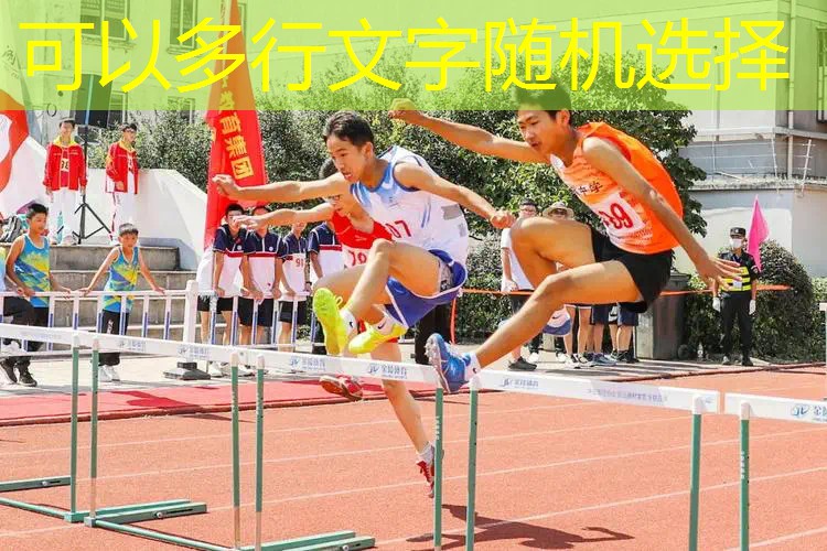 游戏精灵宠物原画
