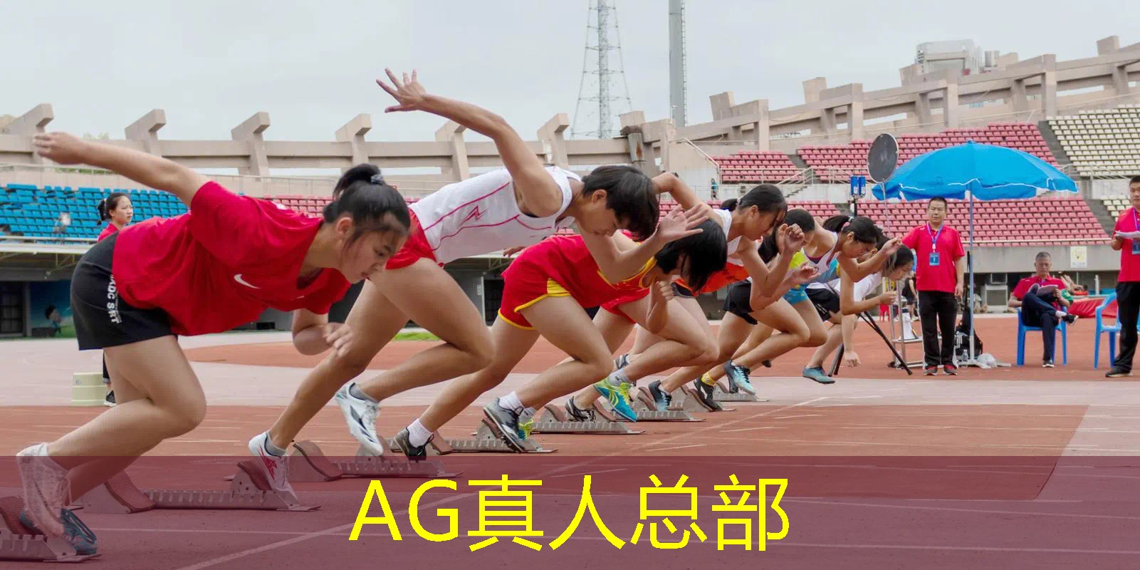 作文小程序游戏大全有哪些