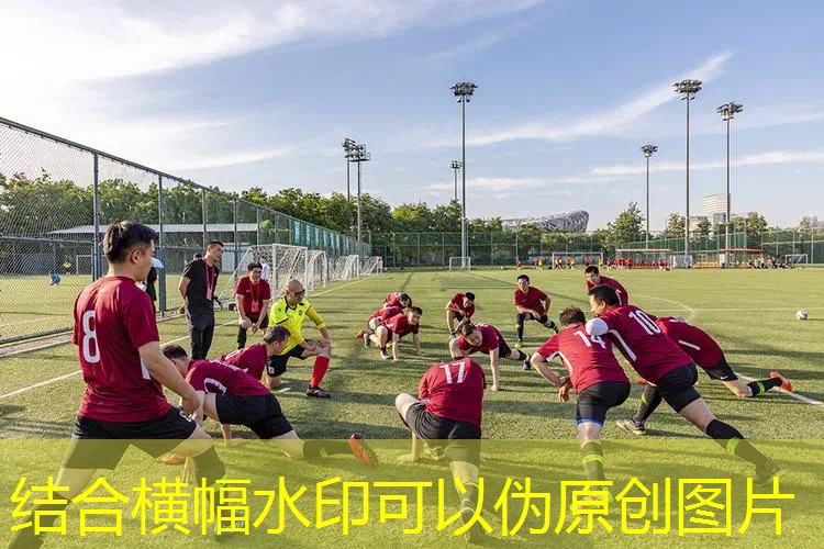 游戏附赠的原画