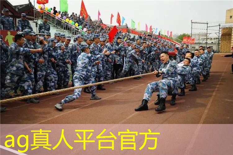首款3d回合制游戏是什么