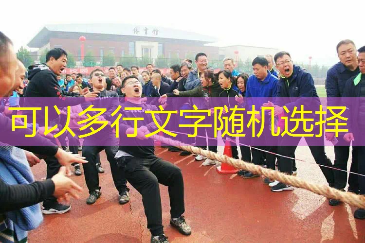 以假乱真的3d游戏叫什么