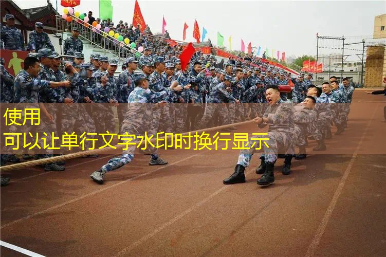 一个类似魂斗罗的3d游戏