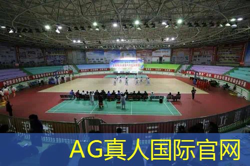 3d篮球游戏电脑怎么玩