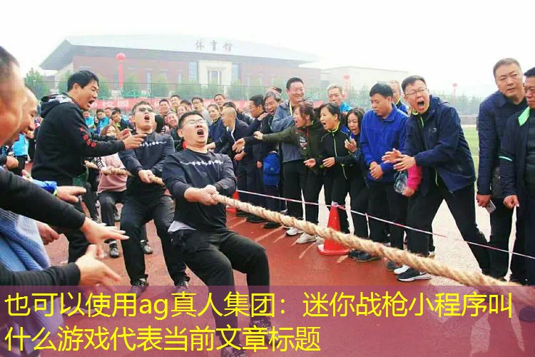 迷你战枪小程序叫什么游戏