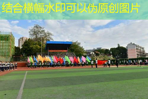 一款3d制板好游戏